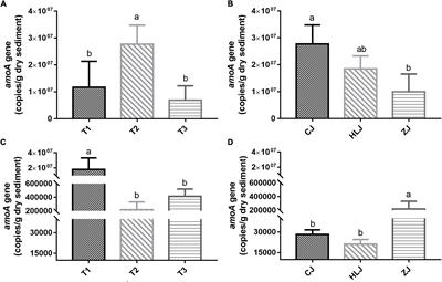 Stochastic factors drive dynamics of ammonia-oxidizing archaeal and bacterial communities in aquaculture pond sediment